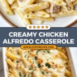 Chicken Alfredo Casserole Recipe