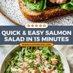 Salmon Salad Recipe