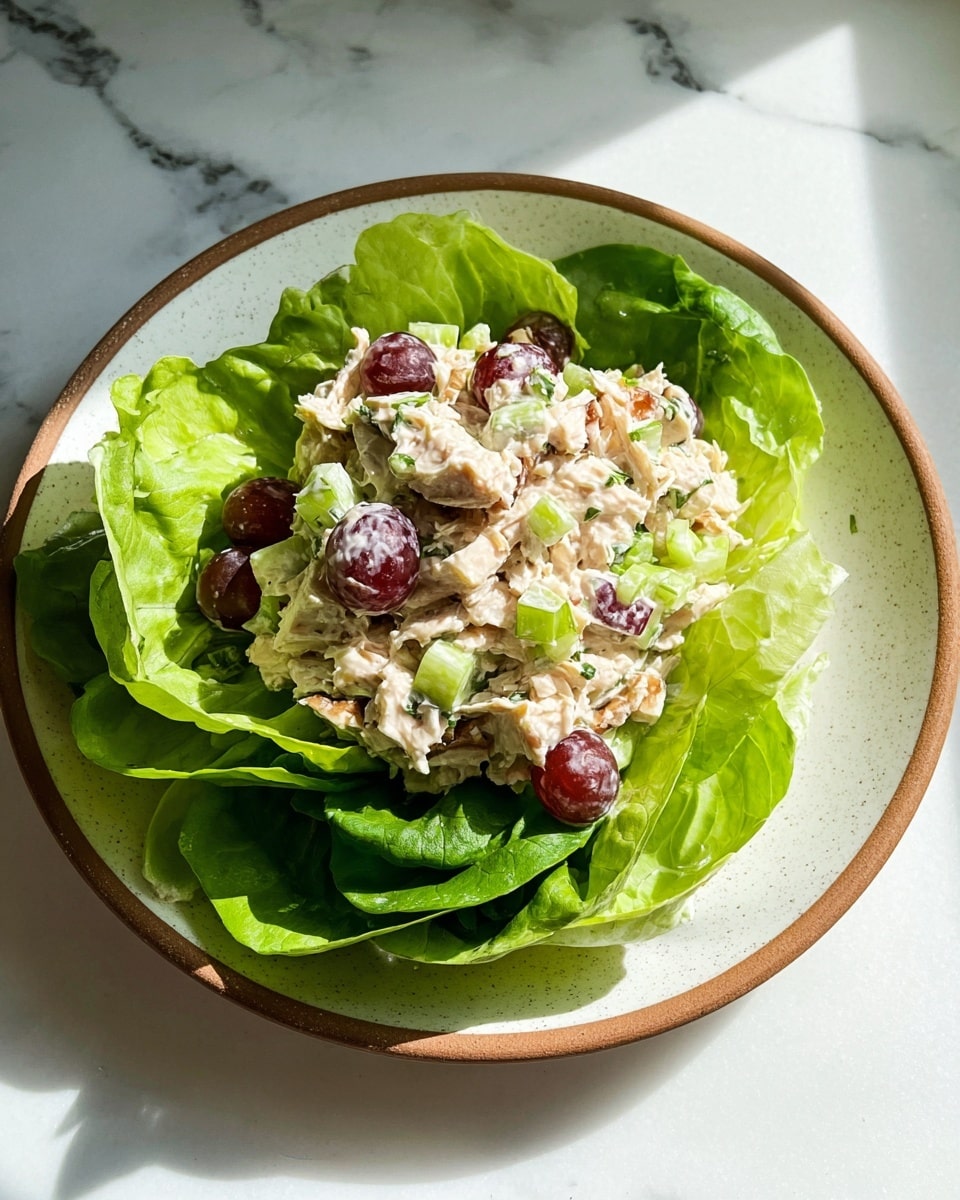 A white plate with a brown rim is placed on a white marbled surface, filled with a layer of fresh bright green lettuce leaves at the bottom. On top of the lettuce is a creamy chicken salad mixture containing small pieces of light beige chicken, light green celery, red grapes cut in halves, and small bits of nuts, giving it a chunky texture. The chicken salad sits in the center, slightly heaped, with vibrant greens from the lettuce leaves surrounding it on all sides. Warm sunlight highlights the freshness and textures. Photo taken with an iphone --ar 4:5 --v 7